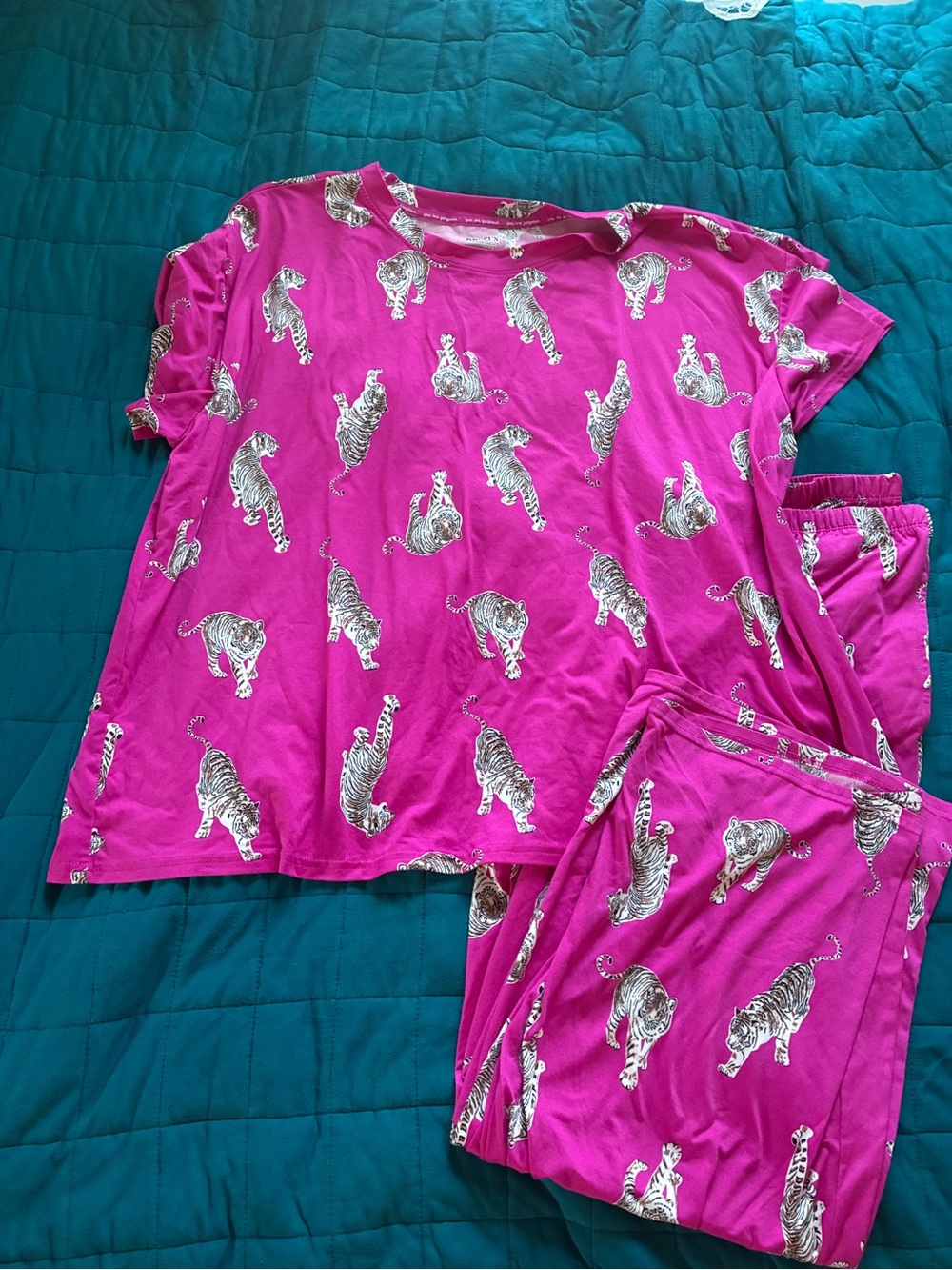 Women's Fuchsia Tiger Print Pajama Set